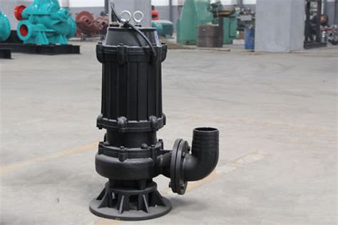 Pompe Eau Wq Jy Series Shanghai Weihu Pump Industry Lectrique