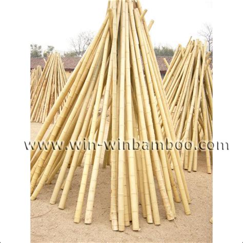 Decorative Moso Bamboo Poles