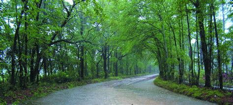 Rainy Day Road by tinkthespike on DeviantArt