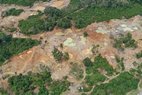 Pt Timah Reklamasi Ha Lahan Bekas Tambang Di Babel Selama