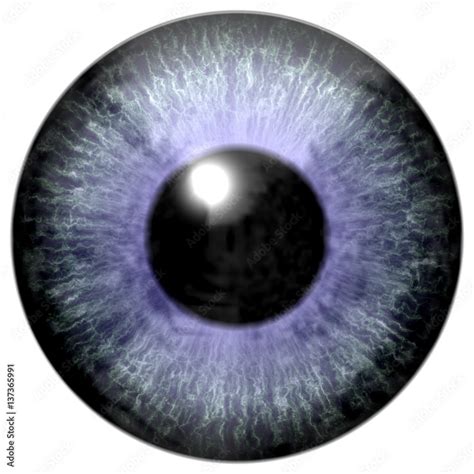 Realistic Colorful Eye Iris Texture Stock Illustration Adobe Stock