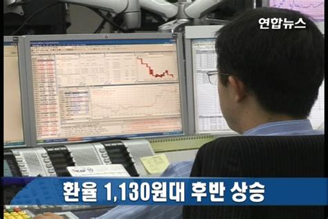 환율 1130원대 후반 상승 연합뉴스