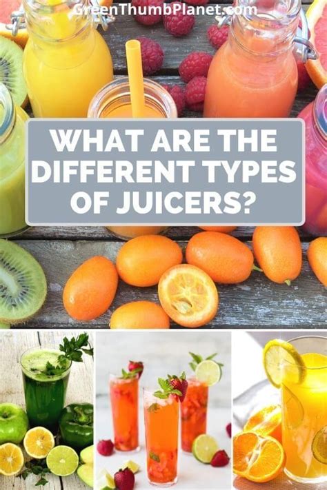 What Are The Different Types Of Juicers Juicing Recipes Juicer