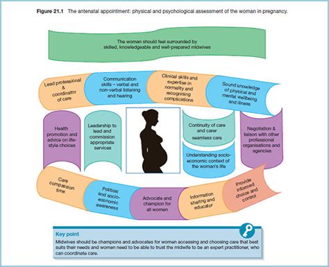 The Antenatal Appointment Physical And Psychological Assessment Of The Woman In Pregnancy