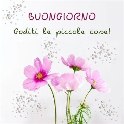 Pin Di Mirella Su Buona Giornata Saluti Buonanotte Buongiorno