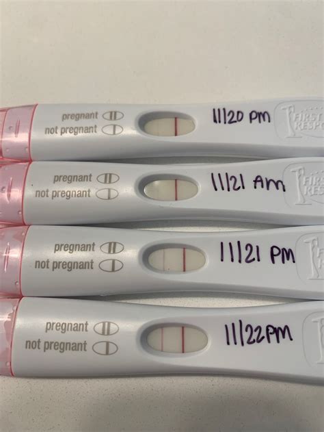 Positive Pregnancy Test First Response Digital