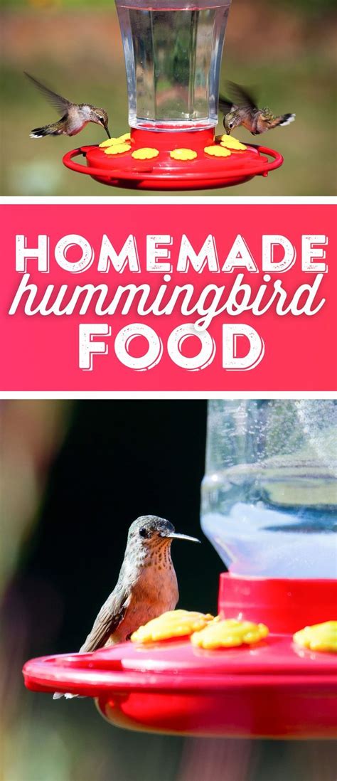 Hummingbird Food Recipe Printable