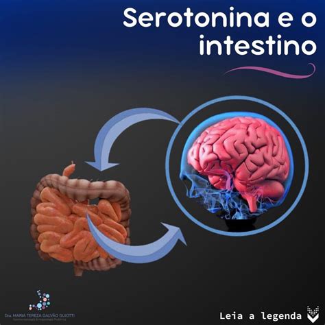 Serotonina E O Intestino Dra Maria Tereza Pediatra