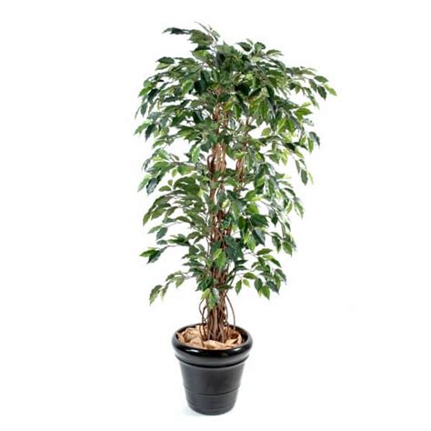 Ficus Artificiel Cm