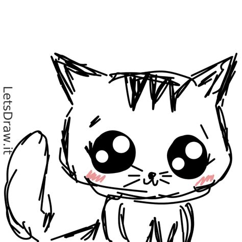 draw kitten yqthdtorpng letsdrawit