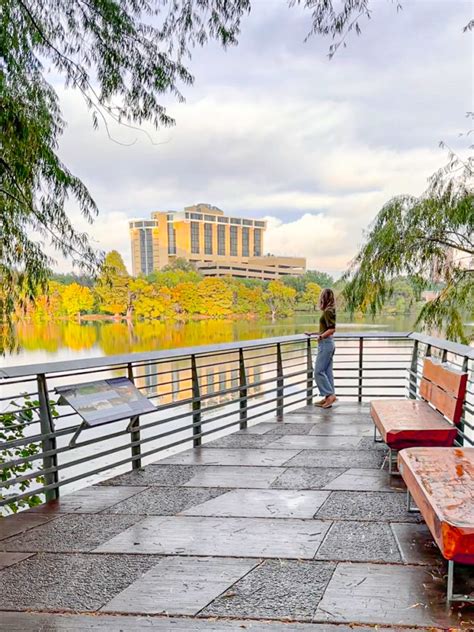 What Is The Lady Bird Lake Boardwalk? (And Where To Find It!) | The ...