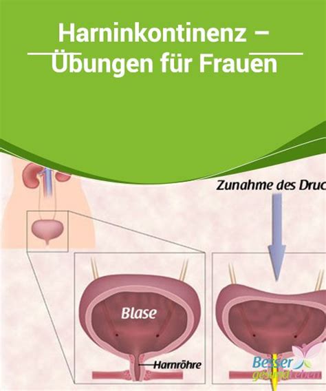 Kegel Bungen Gegen Harninkontinenz Und F R Ein Besseres Sexualleben