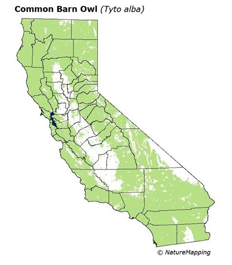 California Distribution Map - Common Barn Owl (Tyto alba)