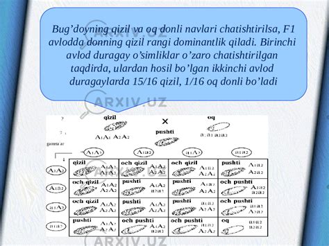 Allel Bolmagan Genlarning Ozaro Tasirida Belgilarning Rivojlanishi