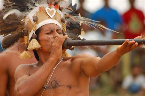 Indios Brasileiros Zarabatana Pesquisa Google Indios Brasileiros