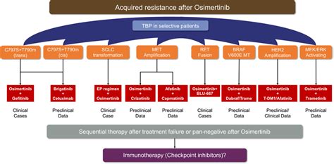 Reported Acquired Resistance To Osimertinib And Corresponding Potential