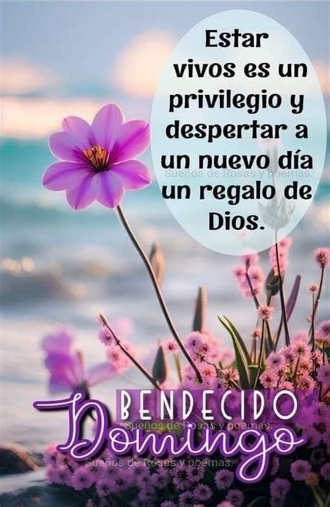 Pin By Jota MR 66 On Saludos Religiosos Good Day Messages Good