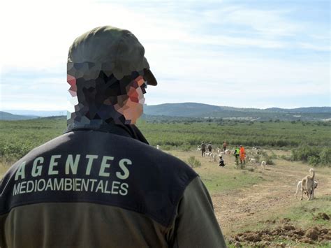 Los Agentes Medioambientales Realizan 2 000 Servicios En Temporada De