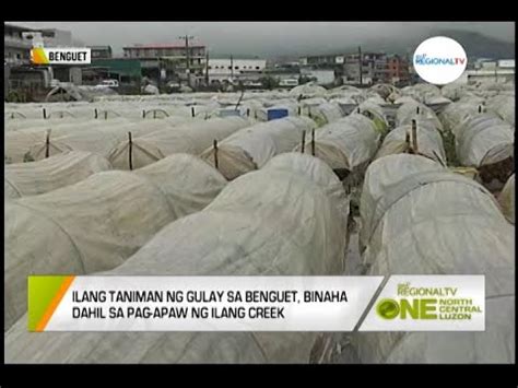 One North Central Luzon Epekto Ng Bagyo Sa Agrikultura Youtube