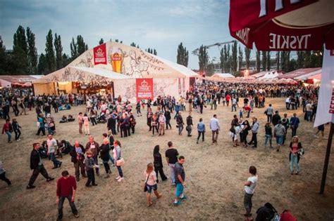 Fest zabawa w Parku Śląskim Tyskie zaprasza na największe w Polsce