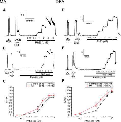 Effect Of Saturated Fatty Acid On Phenylephrine Phe Induced Download Scientific Diagram