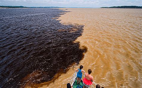 Ecoturismo No Amazonas Descubra Os Principais Destinos Para Os Amantes