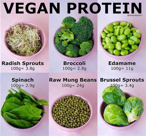 Vegan protein | Vegan protein sources, Healthy recipes, Vegan protein