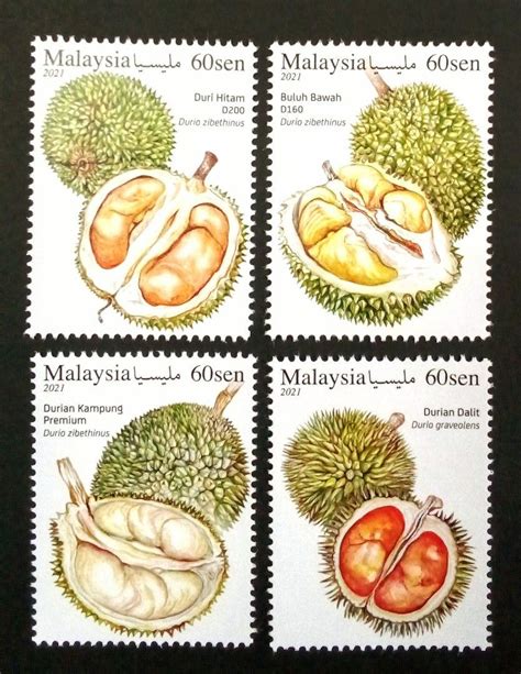 Durian Raja Buah Di Malaysia Set Of 4v Stamp Hobbies Toys