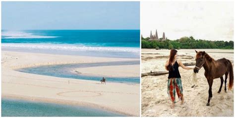 Guide Complet Pour Visiter Sumba Lebaliblog