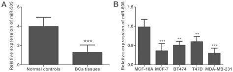 Downregulation Of Mir‑505 Promotes Cell Proliferation Migration And