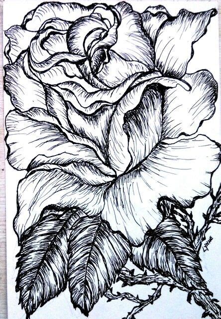 Signo Pen From Jet Pen On Bristol Board A Floribunda Rose Named