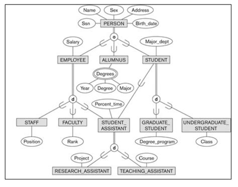 Solved Given The Following Eer Diagram Answer The Question Chegg