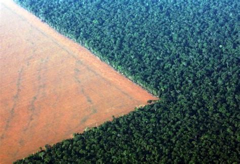 Consumo Di Suolo E Cambiamenti Climatici Michele Bertucco