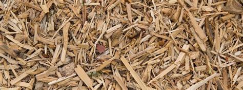 You Can Mulch With Shavings - Efundies.com