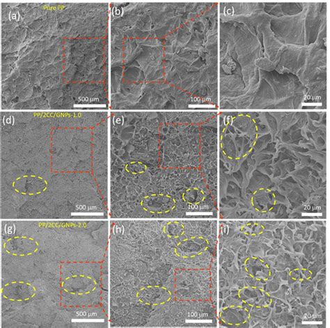 Synthesis Characterization Thermal And Mechanical Behavior Of