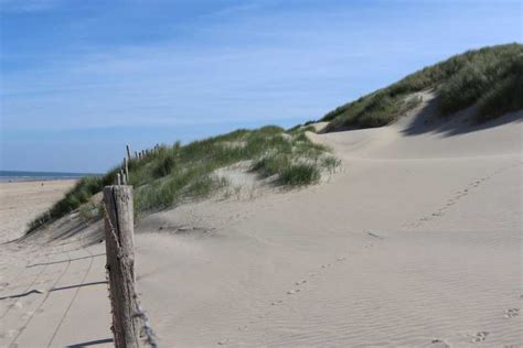 Noordwijk: Beach and Dunes Bike Tour | GetYourGuide