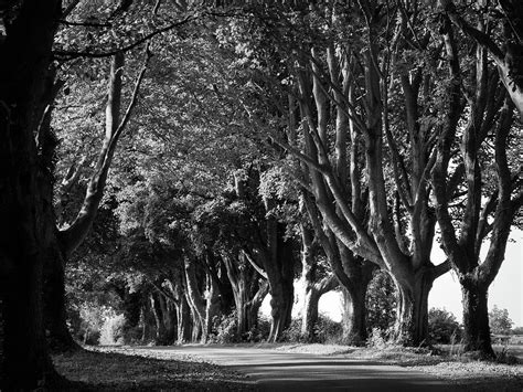 Picturesque Cotswolds Country Lane Photograph By Seeables Visual Arts Fine Art America