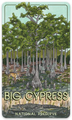 Big Cypress National Preserve Sticker Jellypressco