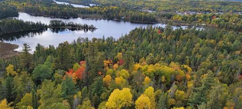 Fire Towers You Can Climb Right Now To See The Best Fall Colours In