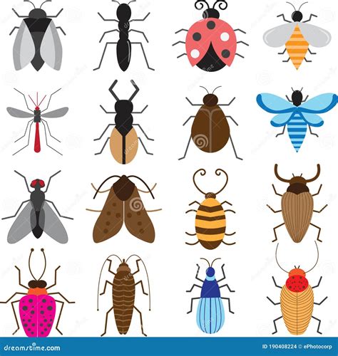 Colección De Diferentes Tipos De Insectos Ilustración del Vector