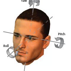 Degrees of freedom of the human head described by rotation angles [1]. | Download Scientific Diagram