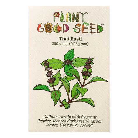 Thai Basil Seeds - The Plant Good Seed Company