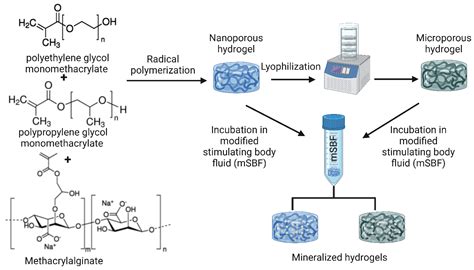 Bioengineering Free Full Text A Review Of 3D Polymeric Scaffolds