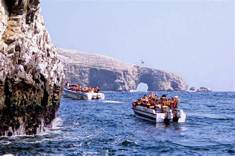 Tour Islas Ballestas Aventuras Al Sur