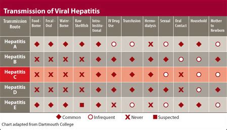 Common Transmission Routes Of Viral Hepatitis