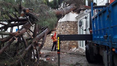 Un Rbol Ca Do Y Varias Viviendas Inundadas Por Las Fuertes Lluvias En