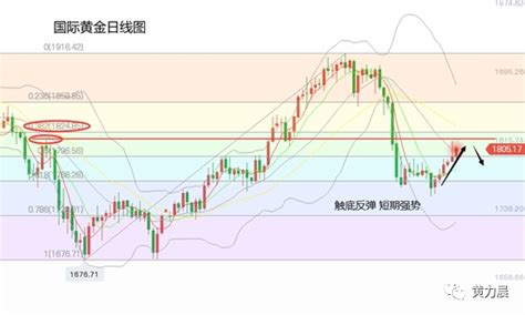 黄力晨：美联储会议纪要鸽派 推动黄金价格上涨 黄金频道 和讯网