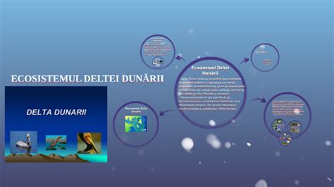 Ecosistemul Deltei DunĂrii By Emanuel State On Prezi