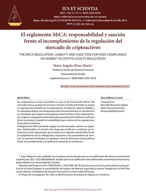 Pdf El Reglamento Mica Responsabilidad Y Sanci N Frente Al