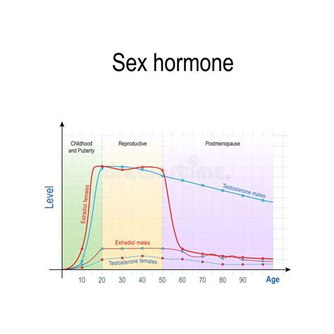 Testosterone Hormone Levels Stock Illustrations – 35 Testosterone ...